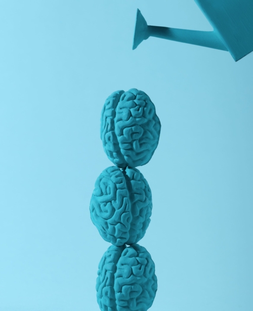 still-life-with-human-brains-watering-can (1)